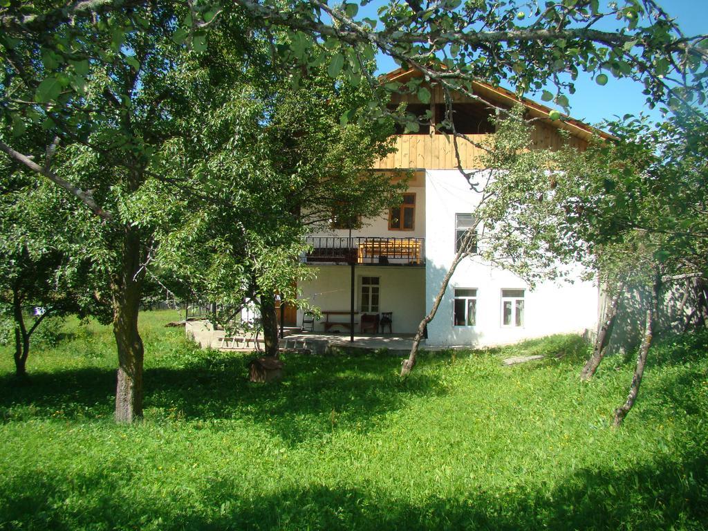 Guest House Tavaduri Mestia Extérieur photo