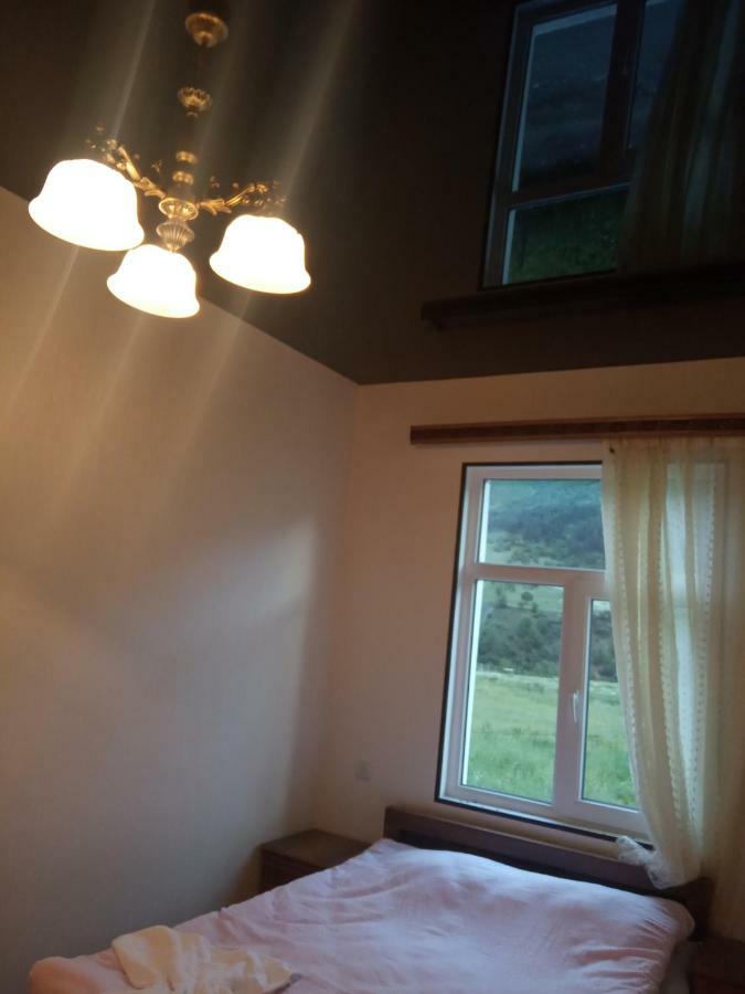 Guest House Tavaduri Mestia Extérieur photo