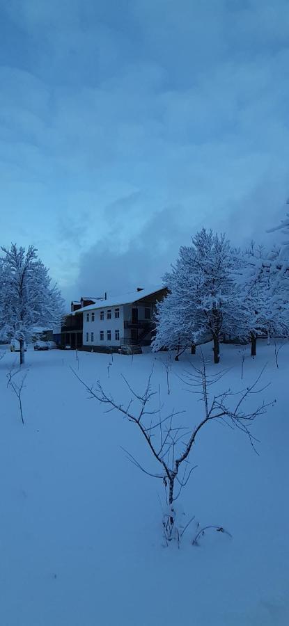 Guest House Tavaduri Mestia Extérieur photo